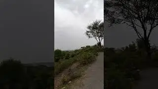 Barnala AJK Village Gul Bahar jungle Visit 2021