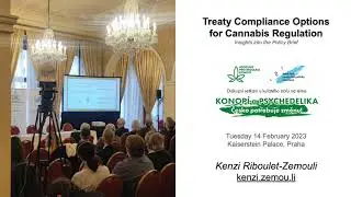 EU law & adult use cannabis | Policy Brief | Launch event, 14 Feb. 2023 in Prague