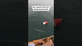 My Lobster Pots Got Robbed (Kind Of)