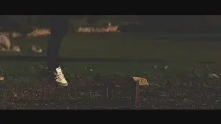 Dase y Beltr&aacute;n - PAZ [MORTISCAUSA #6]  (Videoclip Oficial)