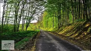 Sounds of Western Ghats | bird sounds | sounds of nature
