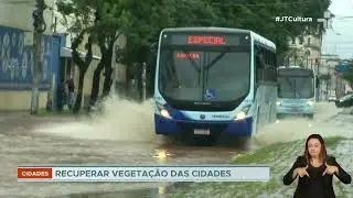 Calor intenso reforça necessidade de adaptação das cidades às mudanças climáticas