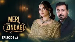 Meri Zindagi Episode 13 | Noman Ijaz, Minal Khan, Sunita Marshal | Latest Pakistani Drama | Ltn