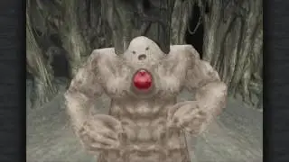 Final Fantasy IX Walkthrough - 14 - Cleyra's Trunk