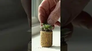 DIY Wine Cork Mini Planter Hack!