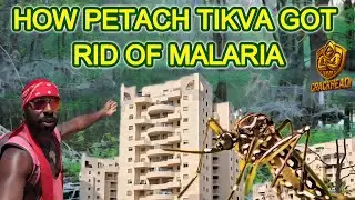 From Swamp to a City | How Petach Tikva defeated Malaria | 🇮🇱 