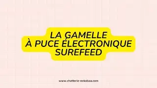 Gamelle chat puce &eacute;lectronique : on d&eacute;couvre le distributeur SureFeed.