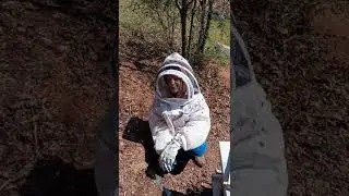 Bee Magnet