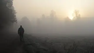 На велосипеде с ночёвкой в ноябре. Дрогичинский район, д. Жабер, Жаберское озеро