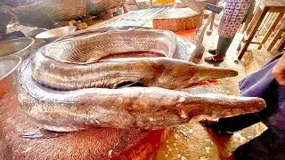Amazing Baam Fish Cutting Skills ll Asian Food Collection ll Fish Market Lahore 