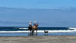 Long Beach | Washington | Worlds longest beach | Lewis and Clark  Discovery Trail @ExploreAmazingEarth