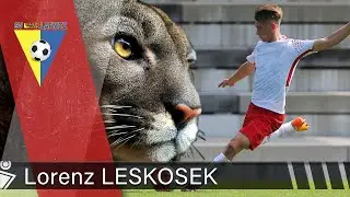 Lorenz LESKOSEK ● LB | SV Lafnitz ● HIGHLIGHTS ● 2019 ● HD ● Austria