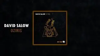 David Salow - TRGS (Original Mix)