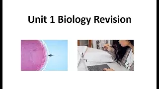 Unit1 Biology Revision