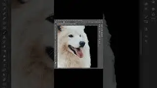 How to Mask Fur in Photoshop (1 Easy Way) #shorts #photoshop