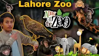Lahore Zoo 🙈 || Lahore Zoo is world's oldest Zoo😱 || Visit with Umer & Ali 😍 || Fun with Tanis