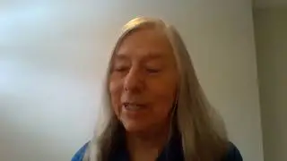 Vandergrift: The HSR Does Harm to Children