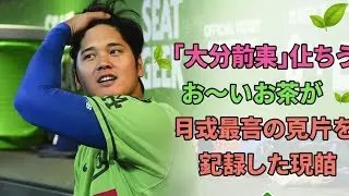 🌟📈「大谷効果」止まらず！お〜いお茶が史上最高の売上を記録した理由🍃💚