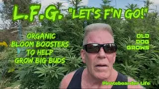 ODG&rsquo;s L.F.G. &ldquo;LET&rsquo;S F&rsquo;N GO!&rdquo; Organic Bloom Boosters to Help Grow BIG BUDS 