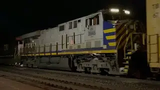(Ex-Citi Rail) CN - 383 | #3018 Leads #3946 Through Brantford Station