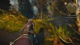Witcher 3- Gwent Only Speedrun pt. 4 Gwent Old Friends & Completing Oxenfurt Area