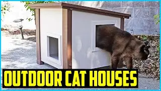 Top 5 Best Outdoor Cat Houses in 2026 &ndash; Reviews