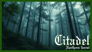 2. Citadel ~ from NORTHERN FOREST (L.T. Production)