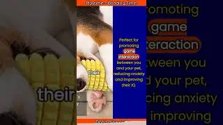 Dog Chew Toys Review: The Ultimate Squeak & Non-Squeak Solutions for Happy Teeth!