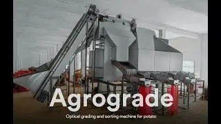 Potato optical grading sorting machine