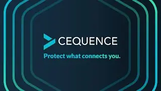 Cequence Security Explained in 2 Minutes