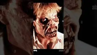 Top 10 Best Splatter Movies