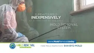 Mold Removal Today - Custom TV Commercial by Grow Advertising