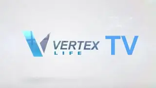 Vertex Life Мнение инвестора  Только факты о Вертекс Лайф