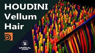 Houdini Vellum hair