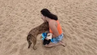 Amor a primeira vista 