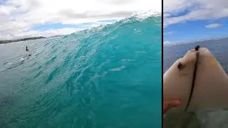 Gnarly Wipeout on Shallow Reef | Hawaii POV Surfing @ Diamond Head Lighthouse | Busted Stick