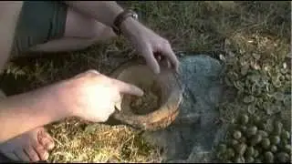 Foraging Edible Plants - Acorn Processing | Wild Food Episode 1
