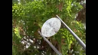 GCAL 8X Lab Grown Diamond - Oval Shape @ourosjewels