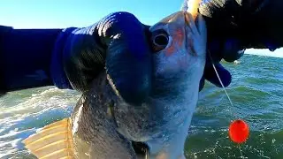 Catching Kob in False Bay / Stingray Visits While Reef Fishing