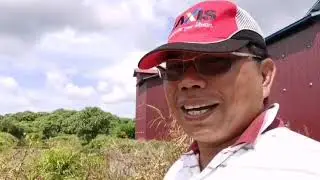 Jangan Terjadi Pada Gedung Walet Anda Jika Tidak Ingin RBW Gagal