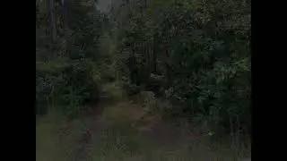 1 McGill Rd., Hemingway, SC 29554 - Land - Real Estate - For Sale