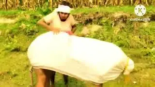 Very Special Trending Funny Video 2025😂 Amazing Comedy Video 2025 Episode 222By Bihari Comedy World 