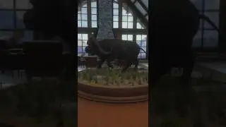 my first diamond Buffalo!