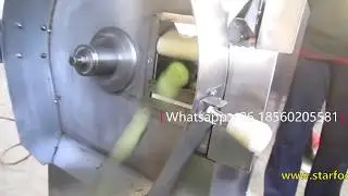 Best quality machine cutting cucumber with amazing speed-CHD20 small cutter