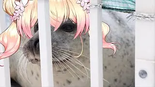 Nene Seal was Put in a Cage.【桃鈴ねね/MomosuzuNene】【memes】