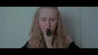 Bridge Over Troubled Water - (Alto sax cover)