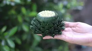 สอนทำกระทงจิ๋ว  By.โมรียา Loy kratong Festival of Thailand Handmade