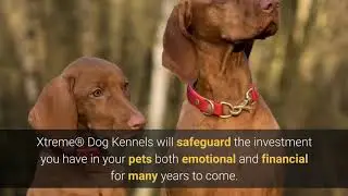Carry My Dog | Xtreme Dog Kennels Runs