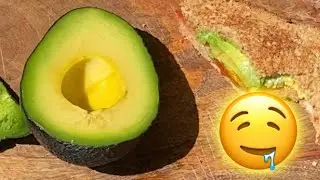 Sir Prize Avocado Taste Test and Reaction [[WOWEE]]