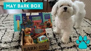 Bark Box Unboxing and Review May 2020